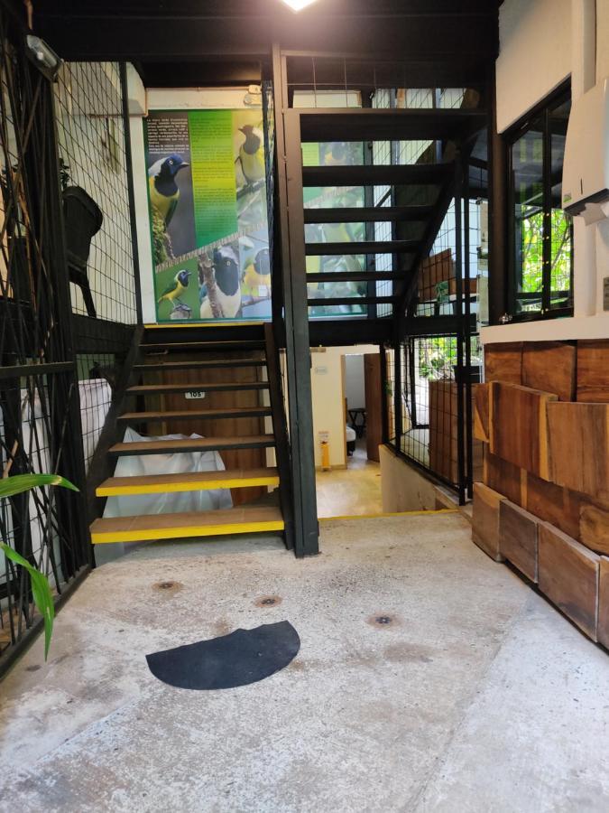 Alojamiento Carriqui Pereira Exterior foto